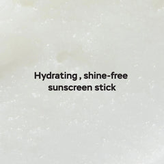 Hydra Stick SPF 34